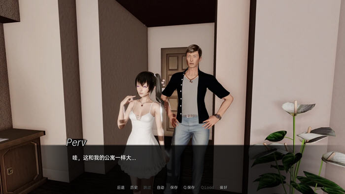 图片[4]-迷一样的遗产 Ver0.6 汉化版 PC+安卓 SLG游戏&新作 1.9G-绅士ACGN