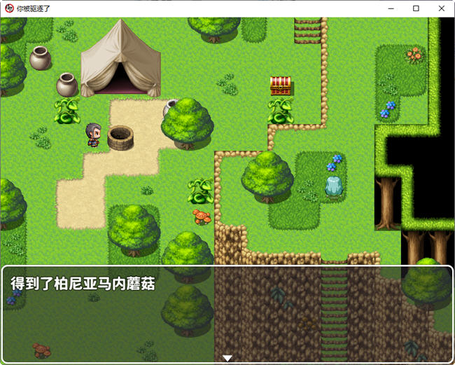 图片[2]-你被驱逐了 官方中文作弊版 PC+安卓 RPG游戏 1.2G-比心acgn